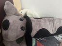 迪夢(mèng)奇 哈巴狗毛絨玩具睡覺(jué)抱枕長(cháng)條可愛(ài)趴趴狗公仔超大號布娃娃男女孩床上大型玩偶送女友生日禮物 藍灰色大眼趴趴狗(有內膽)      1.2米【精心挑選+不掉毛】 曬單實(shí)拍圖
