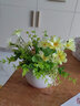 樹顏假花擺件塑料花含花瓶干花花束仿真植物盆景絹花客廳陽臺餐桌裝飾 1號米蘭+花+白瓷盆 曬單實(shí)拍圖