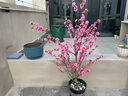 花藝知己仿真桃花枝客廳商場落地?cái)[放桃花樹假樹裝飾插花梅花人造花桃樹枝 仿真桃花樹 1.5米一棵配小黑盆 曬單實(shí)拍圖