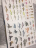 1000種海洋之物 后浪正版 英語單詞大書姊妹出版物 3-10歲兒童英語單詞學(xué)習(xí)認(rèn)知啟蒙繪本書籍 曬單實拍圖