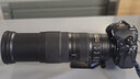 尼康（Nikon）AF-S 800 600 500mm 400 300mm 200-400mm 180-400mm 200-500mm二手定焦鏡頭 遠攝鏡頭動(dòng)物體育攝影 大炮 尼康200-500 f/ 曬單實(shí)拍圖