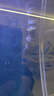 鴨嘴出水口魚缸用龍卷風(fēng)出水管噴頭水族鴨嘴出水噴嘴魚缸過濾桶潛水泵鴨嘴出水口打氧 4節(jié)4分龍卷風(fēng)出水口 曬單實拍圖