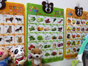 嬰幼兒有聲掛圖凹凸水晶立體掛圖 乖寶寶高清數(shù)字早教拼音發(fā)聲識字卡語音玩具 兒童認(rèn)知早教啟蒙認(rèn)水果蔬菜 認(rèn)知3件組：水果+蔬菜+動物世界 曬單實拍圖