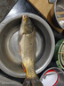 穿透王黑金榮耀釣魚(yú)小藥添加劑釣鯽魚(yú)鯉魚(yú)草魚(yú)餌料黑坑口水劑誘魚(yú)劑配方 野釣鯉魚(yú)小藥套餐（鯉透1號+榮耀+果甘酸） 曬單實(shí)拍圖