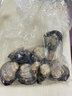 新鮮蛤蜊毛蛤血蛤大毛蜆子貝類批發(fā)赤貝鮮活 毛蛤1斤 0g(凈重)  包鮮不包活 曬單實拍圖