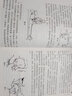 【全2冊】羅氏正骨手法傳承圖解+雙橋正骨老太羅有明 現(xiàn)代骨傷科流派名家叢書 可供從事骨傷科 推拿科等專業(yè)的醫(yī)生參考閱讀 曬單實拍圖
