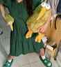 NICI奇異鳥毛絨公仔幾維鳥kiwi鳥玩具萬圣節(jié)限定小鳥圣誕節(jié)玩偶可發(fā)聲 奇異鳥 50cm 尺寸見詳情 曬單實拍圖