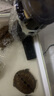 聽白閣過濾器吸水口棉套吸水口管子保護(hù)套過濾桶進(jìn)水口防護(hù)棉蝦網(wǎng)棉 大號(hào) 曬單實(shí)拍圖