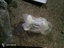 ZOLEE中聯(lián)大風(fēng)力家用吊扇音輕小電風(fēng)扇臥室客廳塑料遙控蚊帳床上微風(fēng)扇1 直徑500MM吊扇+3米延長(zhǎng)線 曬單實(shí)拍圖