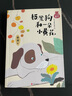 小口袋童話(huà)：金波專(zhuān)集 板凳狗和一朵小黃花（注音橋梁書(shū)）  曬單實(shí)拍圖