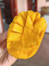 京配嘉果云南新鮮鷹嘴芒甜心芒尖嘴芒黃皮熱帶應季水果樹(shù)上熟整箱 2斤優(yōu)選裝 曬單實(shí)拍圖