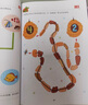 2-5歲全新數學(xué)思維升級訓練書(shū) 兒童數學(xué)邏輯思維訓練（套裝3冊）兒童思維拓展書(shū)  曬單實(shí)拍圖