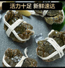 【活蟹】蟹爵大閘蟹 鮮活螃蟹現(xiàn)貨 生鮮河蟹實物海鮮禮盒 六月黃3.3-3.6兩8只 曬單實拍圖