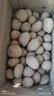 薯芋沃 【咸豐特產(chǎn)館】恩施小土豆5斤高山新鮮農(nóng)家自種馬爾科老品種黃心 乒乓球大小 5斤 曬單實拍圖