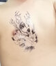 俐微翠【一套10大張】紋身貼女生防水防汗半臂手臂手繪遮痕紋身貼紙男 10張同款小鹿半臂 曬單實(shí)拍圖