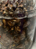 星云湖海南萬州新鮮諾麗果 諾麗鮮果 諾麗酵素 2.5kg 曬單實拍圖