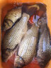 浮煙山斑點(diǎn)線組釣魚(yú)線套裝全套綁好的釣魚(yú)主線成品線野釣黑坑鯽鯉釣組 斑點(diǎn)線組【1卷】 4.8米 1.0號(hào) 曬單實(shí)拍圖