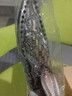 煌利 戶外裝備工具小刀具大馬士革鋼刀子防身多功能登山用品荒野外求生刀隨身花紋鋼瑞士軍士刀一體龍骨直刀 榮耀大馬士革款+皮套 曬單實拍圖