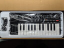 SAMSON山遜 Graphite M25鍵半配重力度琴鍵 MIDI鍵盤(pán)控制器 迷你款25鍵 25鍵 黑色 曬單實(shí)拍圖