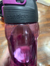 contigo 康迪克 奧特曼 愛(ài)麗絲 套裝2只裝 吸管水杯 一鍵開(kāi)啟水壺禮物 動(dòng)物露營(yíng)-450ml 曬單實(shí)拍圖