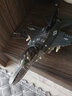 我本非凡飛機(jī)積木軍事航天玩具兼容積木拼插模型航空文創(chuàng)系列殲-10B武直10 F16C隼式戰(zhàn)斗機(jī)【521顆粒】0891 曬單實(shí)拍圖