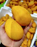 顧果鮮海南小臺(tái)農(nóng)芒果小臺(tái)芒新鮮當(dāng)季熱帶孕婦水果現(xiàn)摘甜心小芒果生鮮 3斤 【小果裝】 曬單實(shí)拍圖
