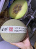 （順豐速遞）海南玫瓏蜜瓜禮盒裝日本品種甜瓜整箱網(wǎng)紋瓜新鮮哈蜜瓜純綠培育出品 2粒禮盒裝（5-5.5斤） 曬單實(shí)拍圖