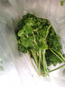 桃李村【順豐】荷蘭芹 歐芹蕃茜洋芫荽法香 新鮮西餐蔬菜 250g 曬單實拍圖