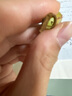 八目尚賞捕蠅草盆栽新奇趣味捕蟲(chóng)草食人花卉綠植食蟲(chóng)草新奇趣味捕蠅草 小豬籠草(簡(jiǎn)易盆發(fā)貨)  帶盆栽好 曬單實(shí)拍圖