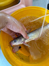 迪佳大物師至尊版硬調碳素魚(yú)竿臺釣竿鯽竿鯉竿釣魚(yú)竿手桿漁具 大物師至尊版7.2米 曬單實(shí)拍圖