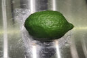 果齋園 廣東香水檸檬 新鮮無籽青檸檬 手打香檸檬 奶茶店飲品專用 1斤裝  發(fā)圓通 曬單實拍圖