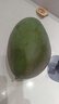 【新鮮上市】正宗攀枝花凱特芒果新鮮水果 帶箱2斤200g+ 曬單實拍圖