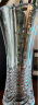 BOHEMIA 波西米亚捷克进口奥莱恩款富贵竹插花水晶玻璃花瓶摆件 大号/30cm 实拍图