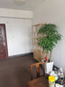 態(tài)匠 博古架實(shí)木新中式多寶閣茶室客廳置物架隔斷書(shū)架酒架家具展示架 新中式一個(gè)博古架(1m) 曬單實(shí)拍圖
