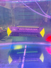 仟湖魚缸加熱棒防爆PTC變頻省電自動恒溫加熱器養(yǎng)魚烏龜加溫棒龍魚用 【雙管】加熱棒800瓦 曬單實拍圖