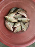 藍客西部風魚餌牛b鯽鯉紅鯽粉小藥水劑泡米黑坑野釣魚餌料添加劑窩料 牛B鯽8.5克*10袋 曬單實拍圖