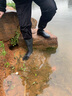 雨牧德系雨鞋男防滑耐磨水鞋工地膠鞋勞保中筒防水防蛇釣魚高筒雨靴 中筒 44 曬單實(shí)拍圖