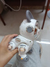 嘉爾樂嘉爾樂智能跳舞狗電動(dòng)玩具狗狗機(jī)器人可錄音會(huì)跑聲光音樂禮盒兒童 嘉爾樂智能電動(dòng)跳舞狗橘白禮盒 曬單實(shí)拍圖