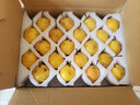 鮮姿遼寧南國(guó)梨南果梨香水梨醉梨酒香梨禮盒東北特產(chǎn)水果 4.5-4.8斤小果約40枚實(shí)惠裝 曬單實(shí)拍圖