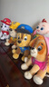 汪汪隊(duì)立大功（PAW PATROL）汪汪隊(duì)玩具毛絨全套狗狗玩偶公仔男女孩玩具旺旺隊(duì)生日禮物 4只經(jīng)典款-中號(hào)毛絨 中號(hào)-坐高約17~22.9CM 曬單實(shí)拍圖