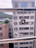 艾芙洛925銀龍鳳平安扣情侶項鏈男女黑瑪瑙吊墜520情人節(jié)生日禮物送女友 情侶一對+證書+禮盒 曬單實拍圖