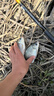 黃金眼攻鯽手高靈敏納米魚漂輕口鯽魚浮漂加粗醒目浮標(biāo)正紅黃尾品垂釣樂 黃金眼攻鯽手G-102 2號(hào)一支 曬單實(shí)拍圖