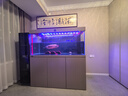 德克（D&A）龍魚魚缸一體缸自循環(huán)懶人免換水客廳底濾智能生態(tài)缸辦公室水族箱 星空銀（專業(yè)款） 153x60x161cm 曬單實拍圖