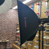 金貝（JINBEI）EF150proLED补光灯影棚摄影灯网络直播视频摄像补光灯人像服装儿童产品直播灯拍照灯双灯套 晒单实拍图