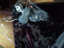 【岫巖館】荷玉情緣 岫玉耳墜 項鏈吊墜 玉佩珠寶 男女士玉石掛件 天然新款 生日禮物情人節(jié)送女友 D 曬單實拍圖