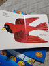 英文原版 Brown Bear Brown Bear What Do you see 棕熊棕熊 你看到了什么 棕色的熊 Eric Carle 艾瑞卡爾 撕不爛紙板書 認(rèn)知繪本 送音頻 曬單實(shí)拍圖