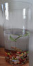 貝拉緣創(chuàng  )意加厚直筒玻璃魚(yú)缸圓柱形大號客廳落地花瓶水培透明玻璃擺件25 口徑20cm 高度40cm 曬單實(shí)拍圖
