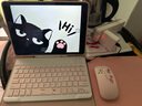 CANHOOGD適用蘋果ipad鍵盤鼠標(biāo)套裝ipad air6/7/pro24款10/9/8/7代鍵盤25款A(yù)16蘋果11保護(hù)套殼9.7 【粉色-橫屏款】常規(guī)鍵盤-八件套 iPad7/8/9(10.2 曬單實(shí)拍圖