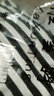 女士t恤短袖夏季2024新款時尚中年polo衫氣質(zhì)淑女潮流洋氣小衫 拉鏈領(lǐng)條紋黑色 4XL 曬單實拍圖