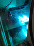 森森（SUNSUN）水泵魚缸水泵泵抽水泵魚池水陸兩用水泵家用換水器 升級(jí)變頻款JTP-5800（水陸兩用）贈(zèng)1米管 曬單實(shí)拍圖